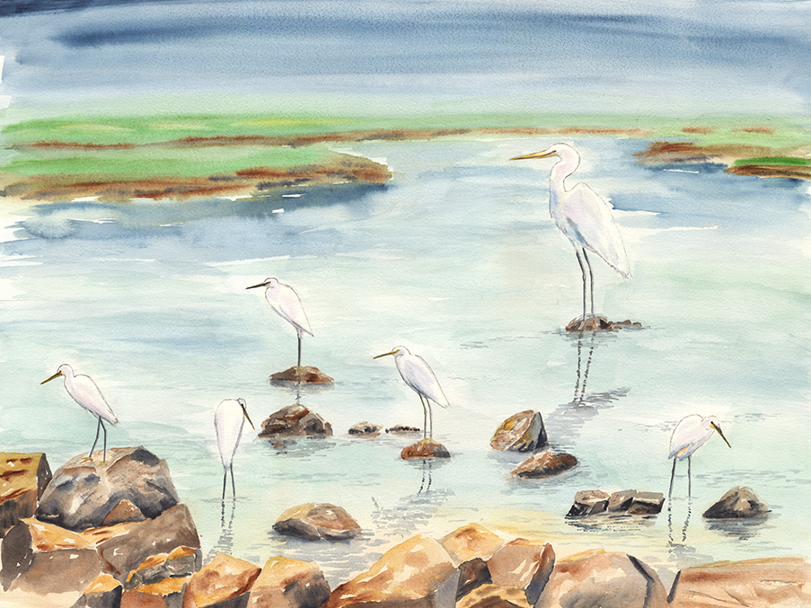 Egrets Thumbnail Placeholder